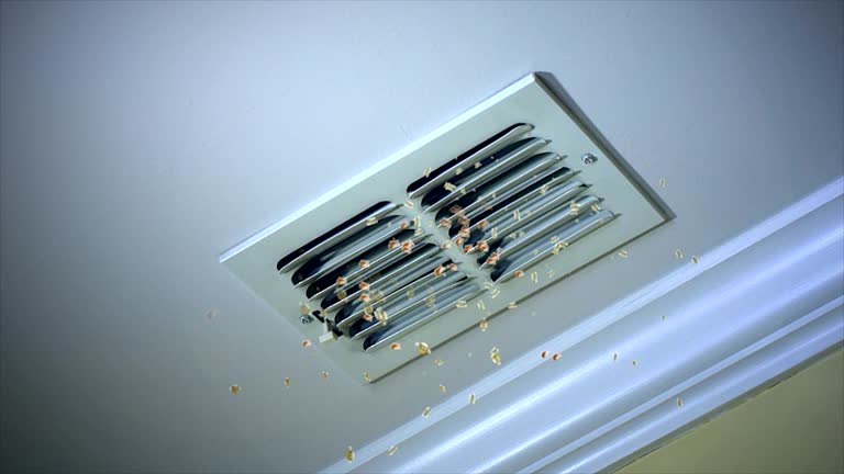 Best Air Vent Cleaning Services  in Beulah, ND